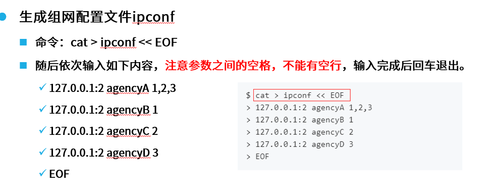 生成组网配置文件信息)